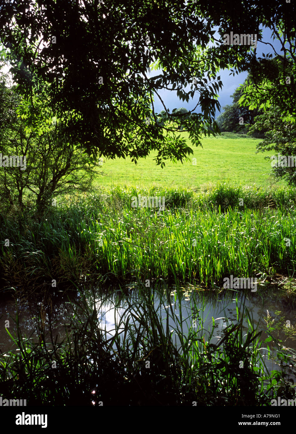 View of the Cromford Canal near Matlock Bath in the Peak District Derbyshire England UK Stock Photo