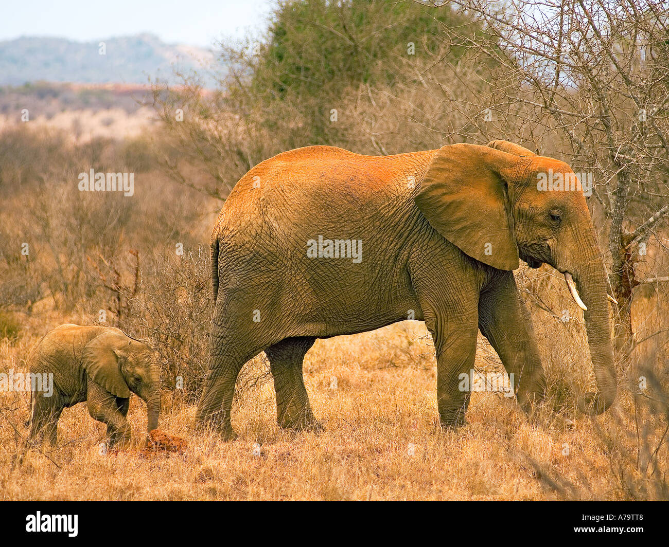 Biosphere Hauser Expedition Adventure Journe Stock Photos