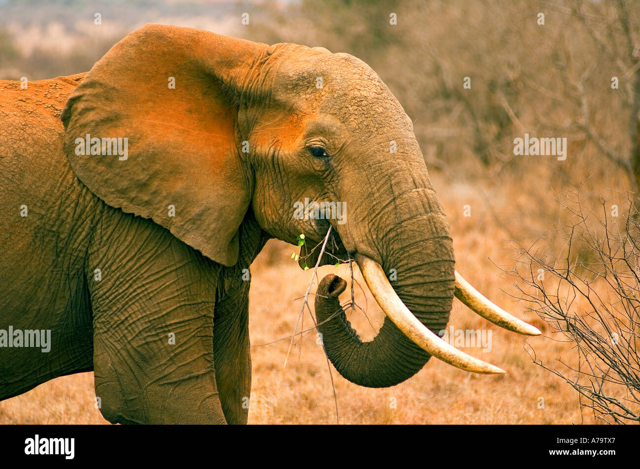 Biosphere Hauser Expedition Adventure Journe Stock Photos