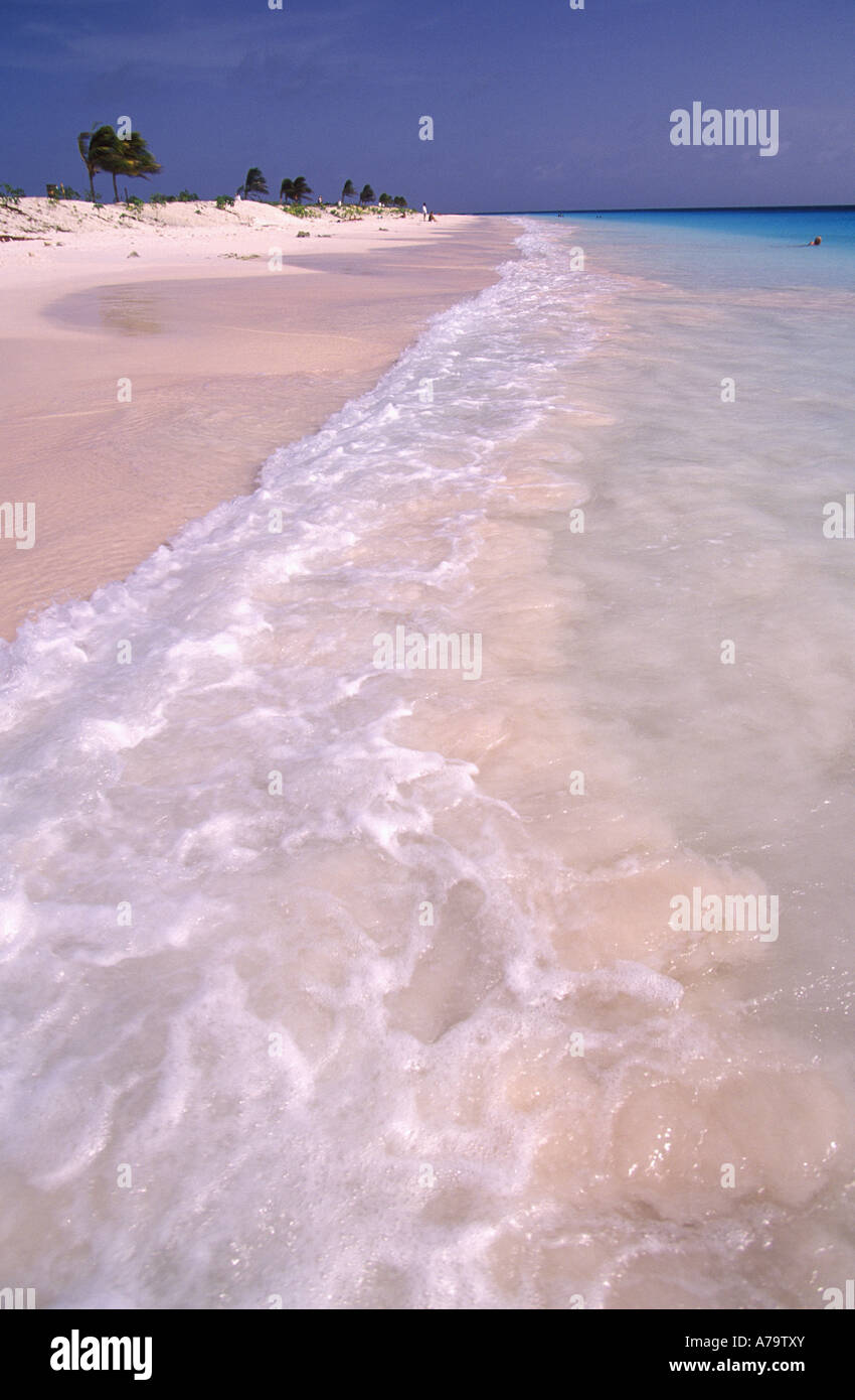 kralendijk bonaire beaches on Pink Beach Bonaire High Resolution Stock Photography And Images Alamy