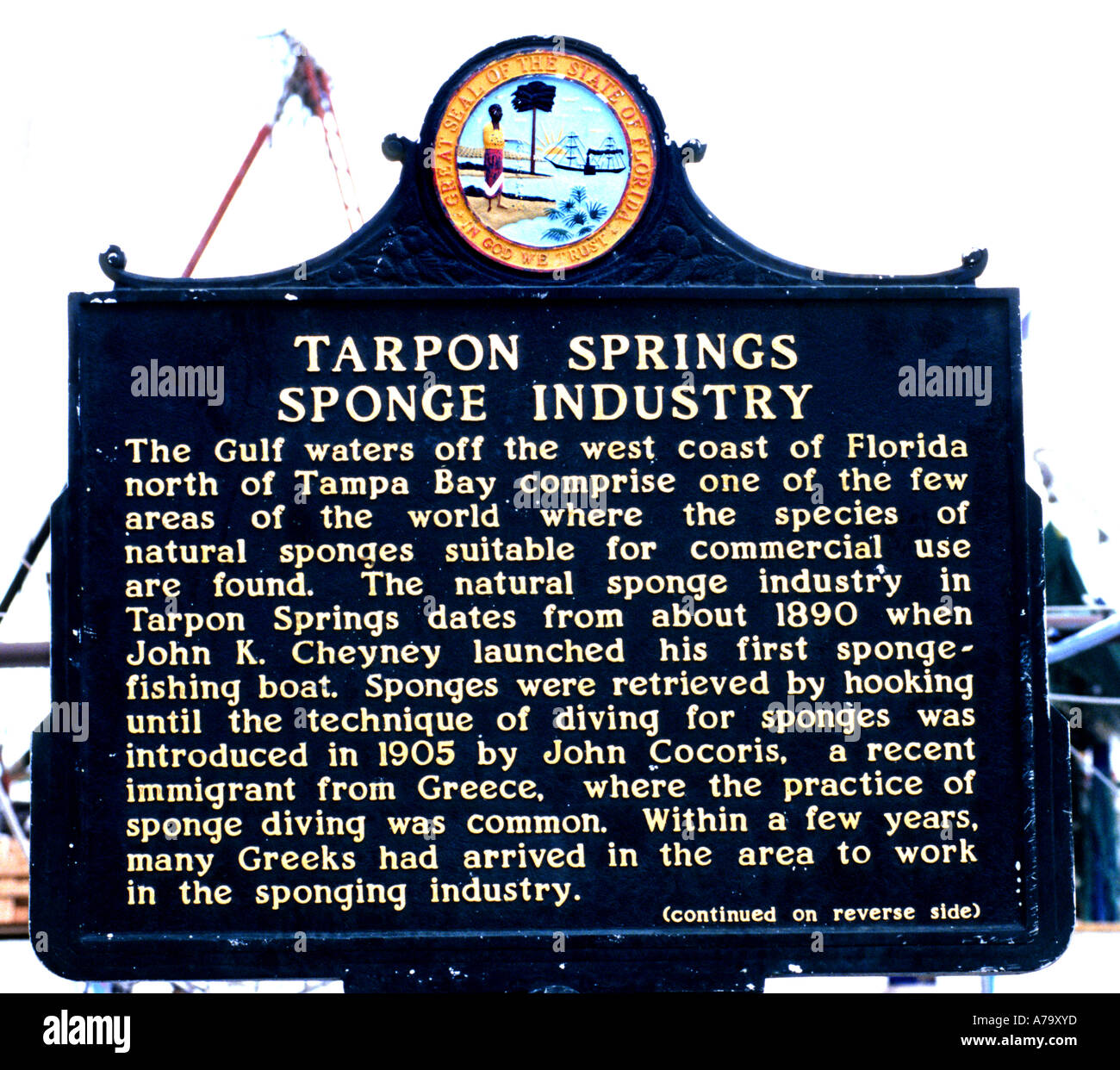 Cedar Key Tarpon springs Florida United States sponge sponges port