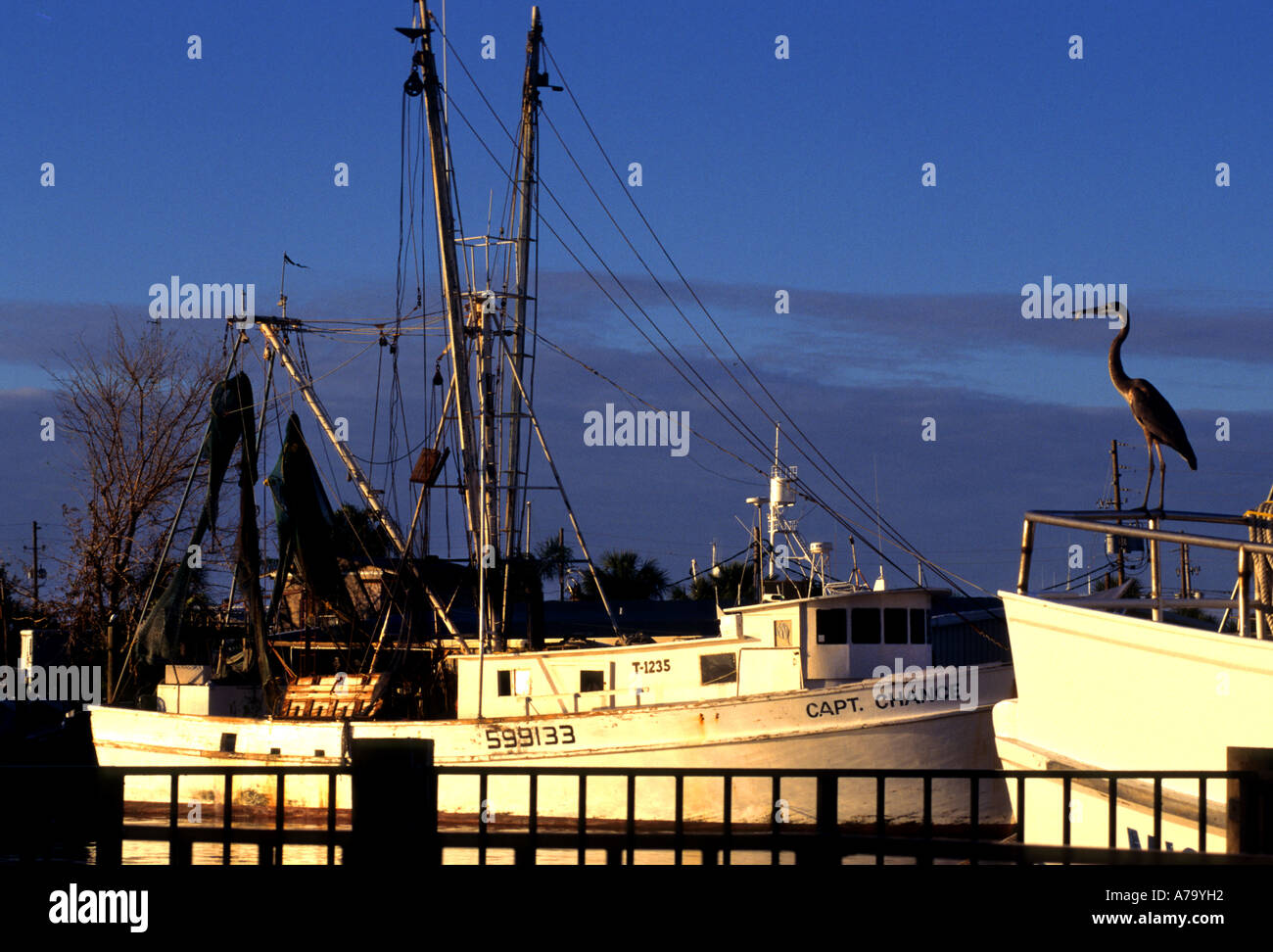 Cedar Key Tarpon springs Florida United States sponge sponges Stock