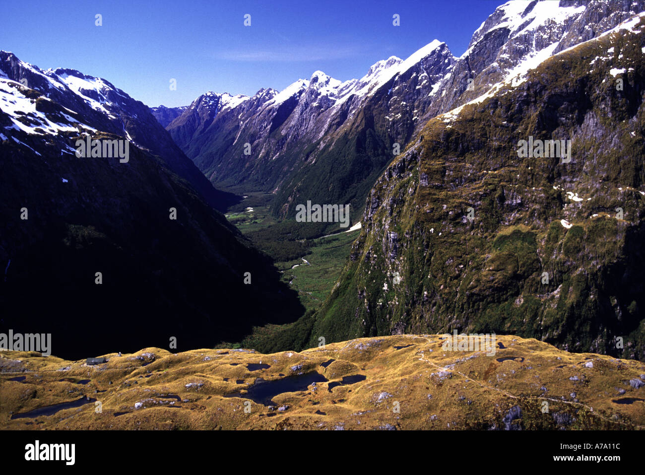 Mackinnon Pass shelter Clinton Canyon Milford Track Fiordland National
