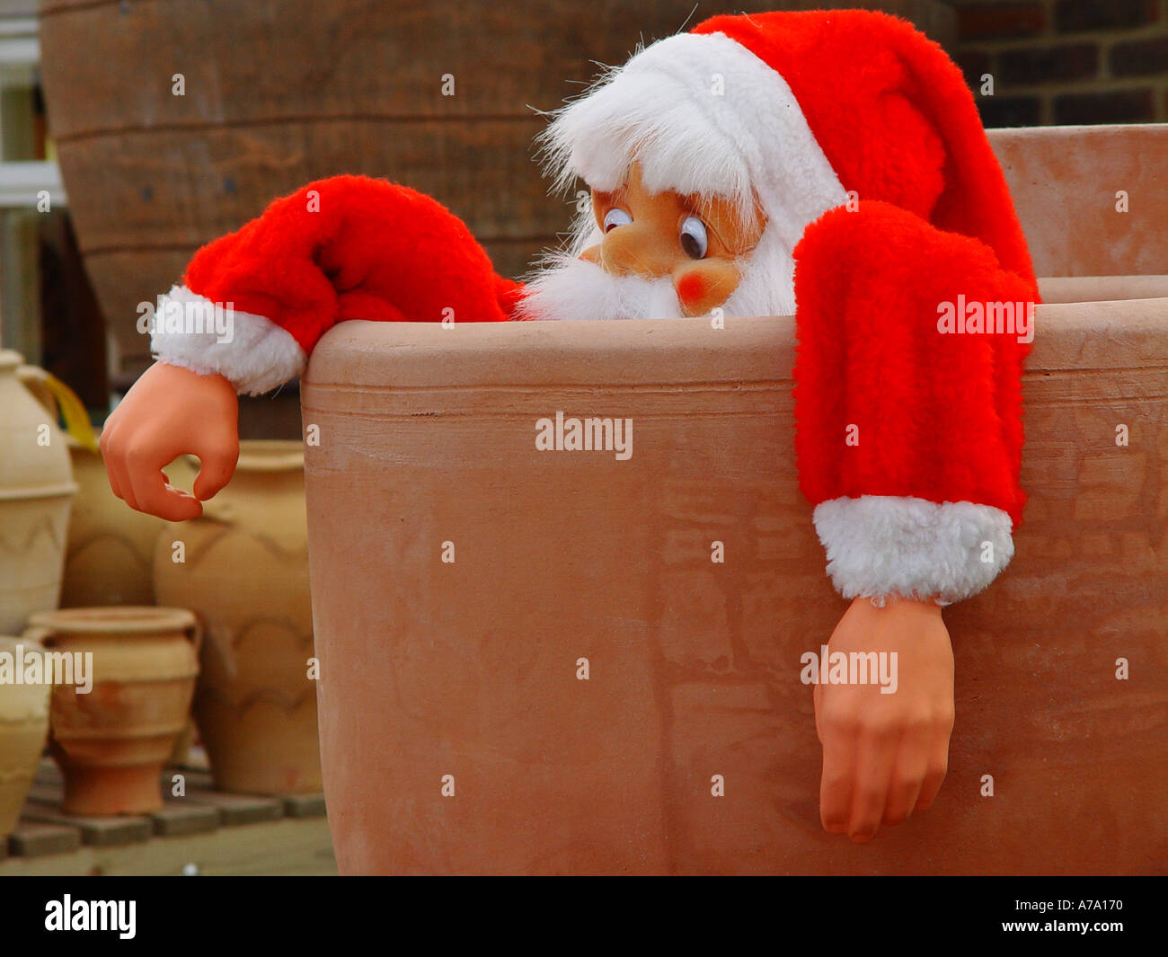 Father Christmas in garden pot Stock Photo