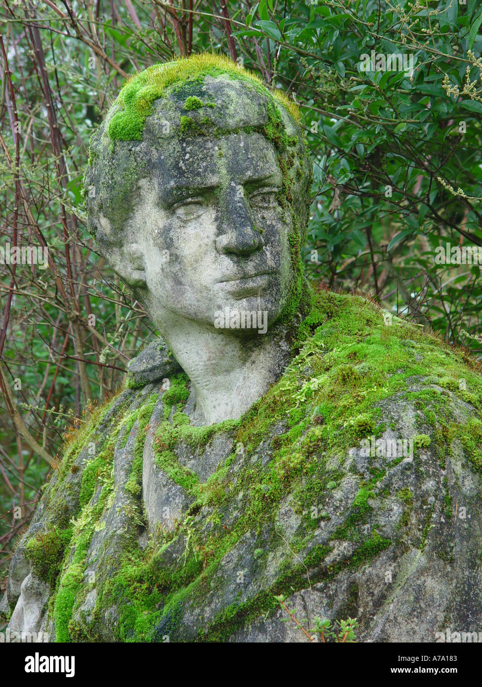 Moss covered statue Stock Photo 500099 Alamy
