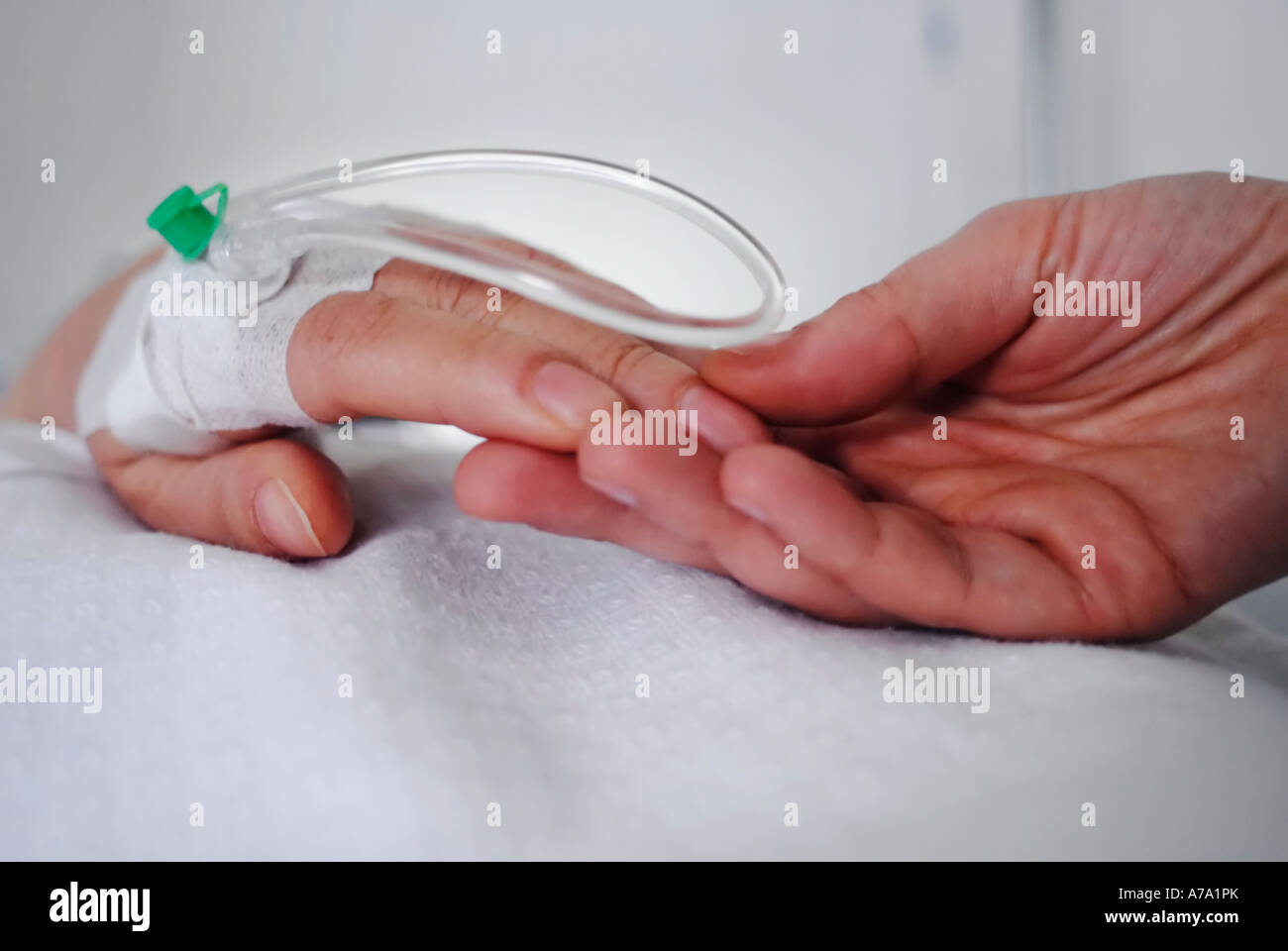 Holding a patient's hand with iv drip at bedside Stock Photo