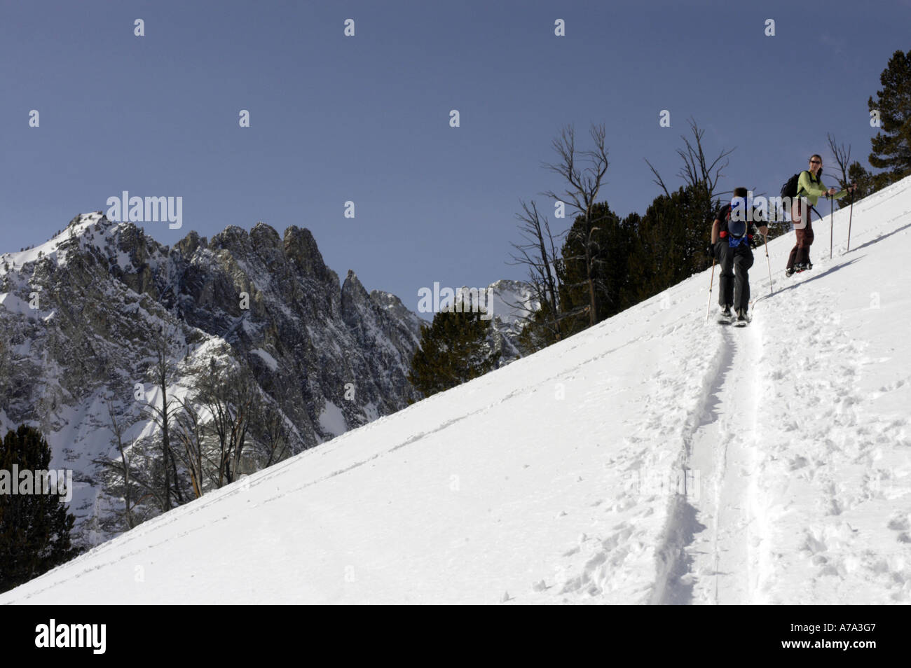 USA Idaho Stanley Sawtooth Mountains near Sun Valley Couple skinning to go skiing in the back country Stock Photo