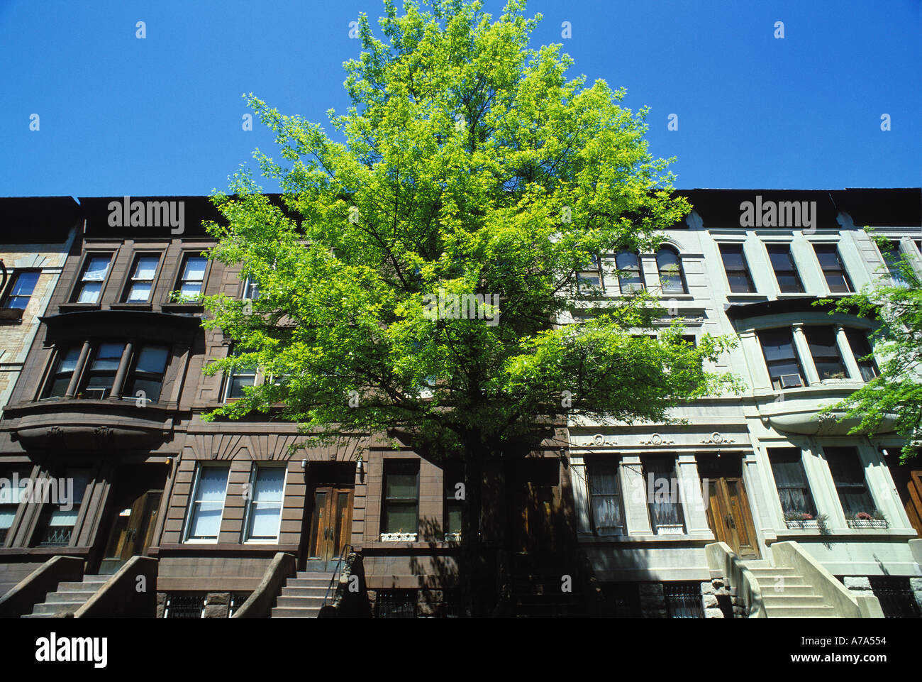 Hamilton Terrace Harlem Manhattan New York Stock Photo