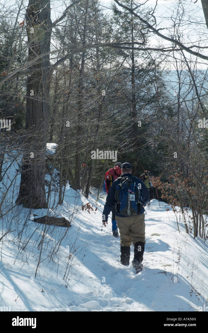 Mount Tom State Reservation. Monadnock M M Trail. Located in
