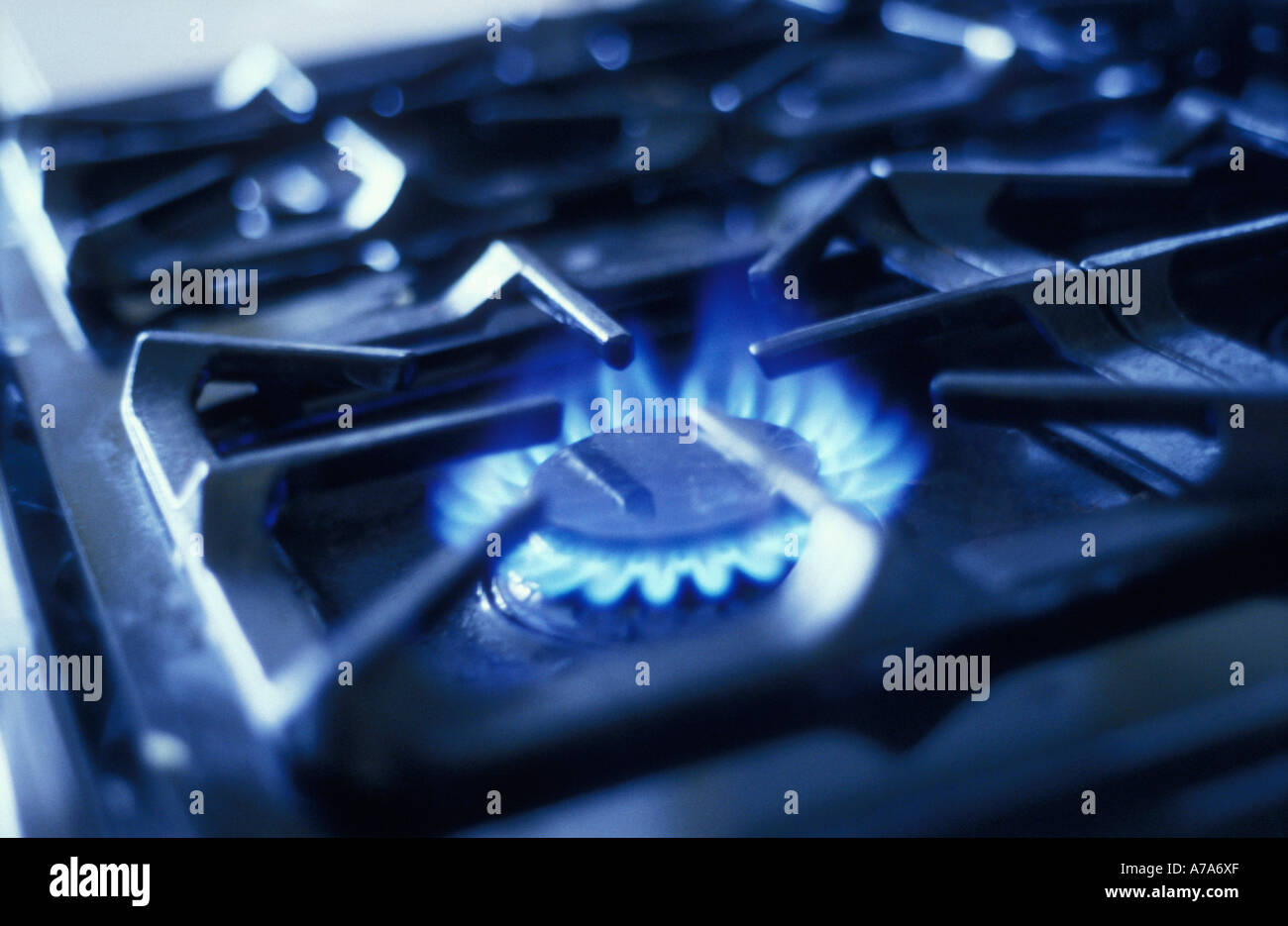 close up of gas stove and blue flame Stock Photo Alamy
