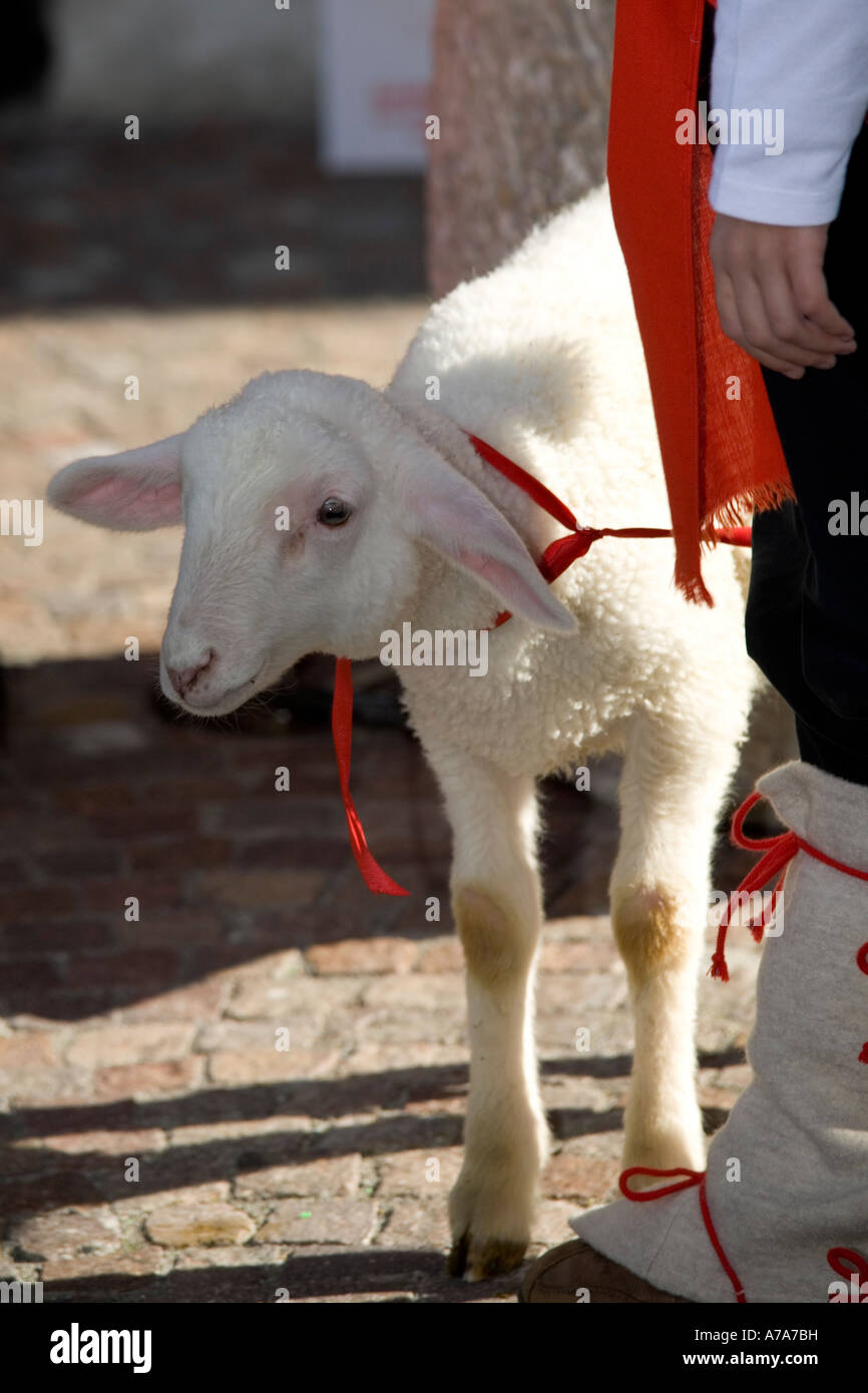 Easter lamb, Bormio parade festival, Italy Stock Photo Alamy