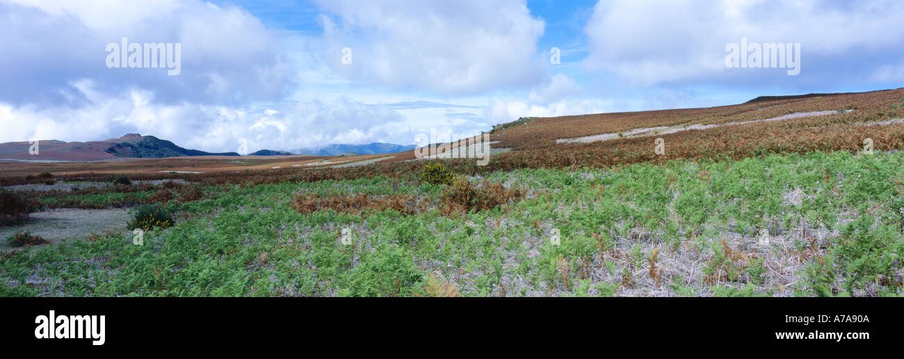 Paul da Serra Madeira Stock Photo Alamy