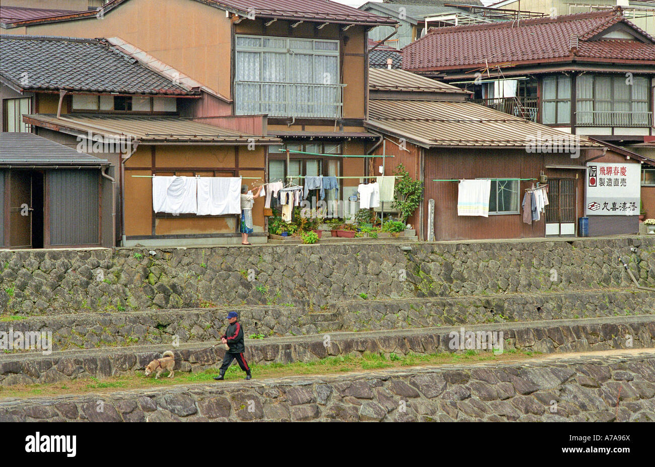 Man walking his dog along riverside steps japan Stock Photo - Alamy