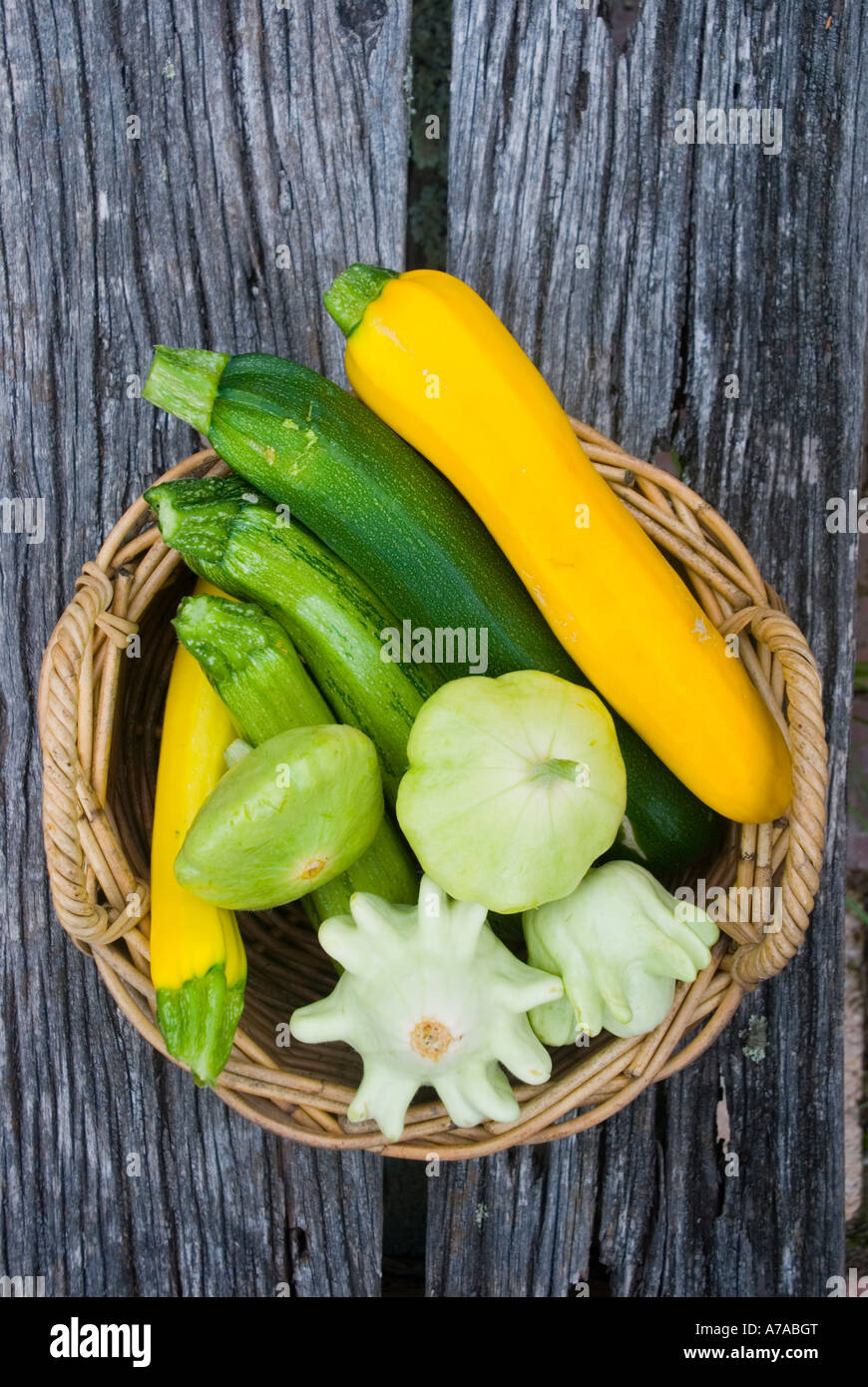 A variety of cucurbits and squash Stock Photo