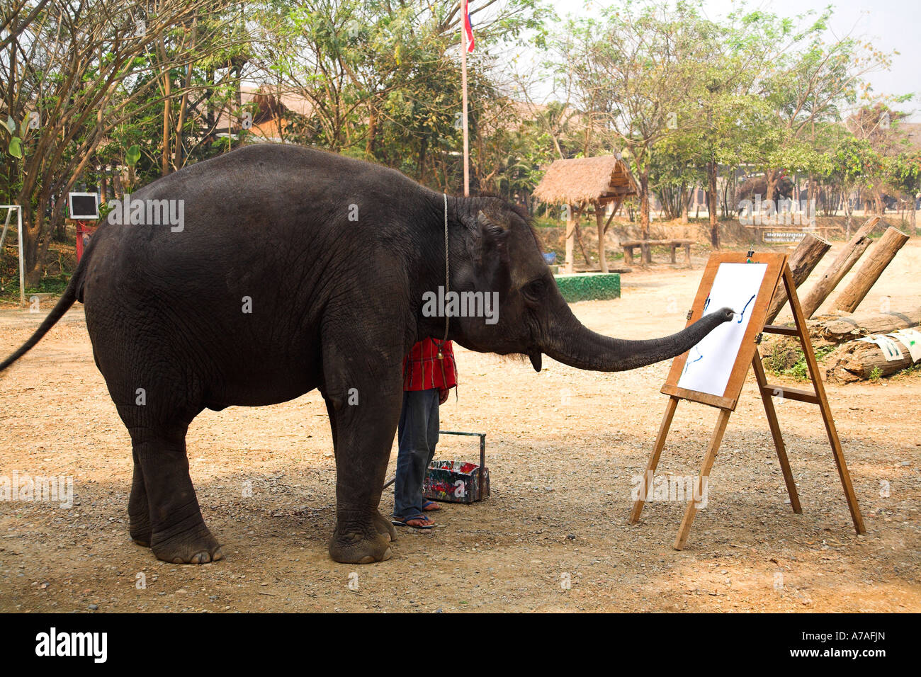 Jungle scene painting hires stock photography and images Alamy