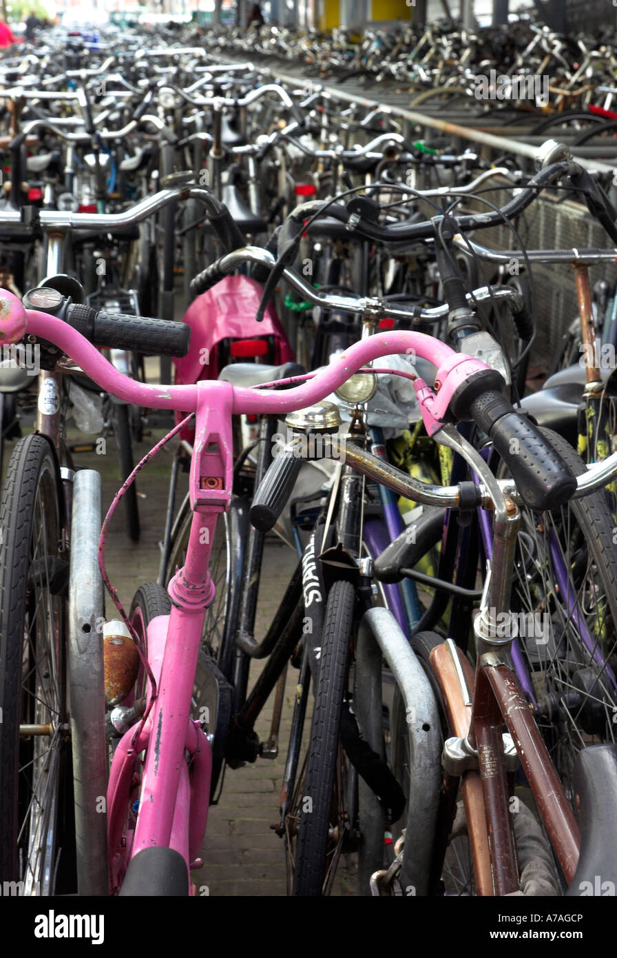 the hundreds bike