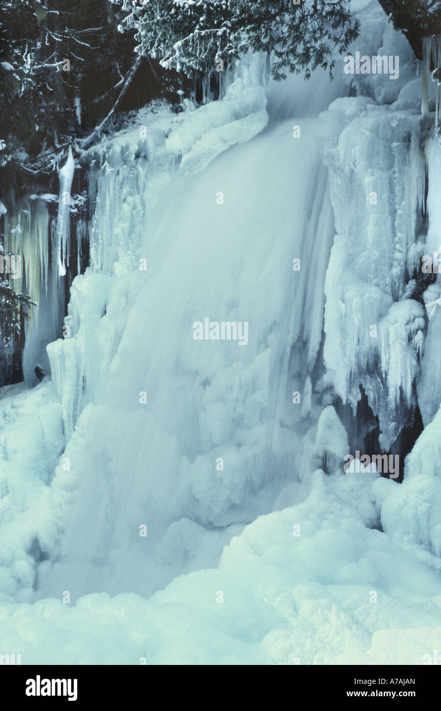 Detail of a frozen waterfall in woodland in Quebec Stock Photo