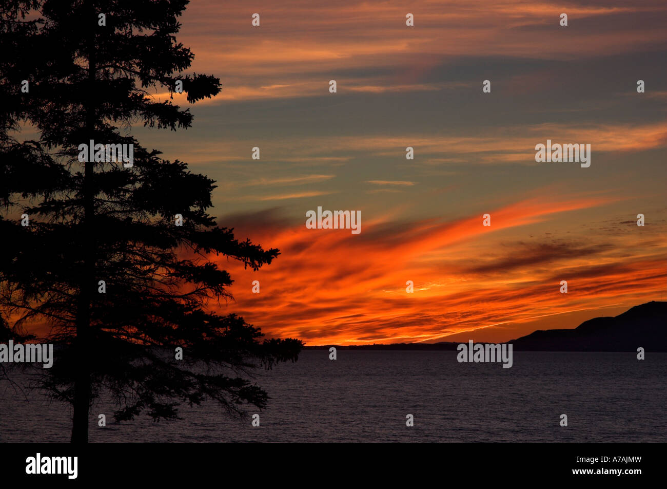 A tree silhouetted against a fiery sunset Stock Photo - Alamy
