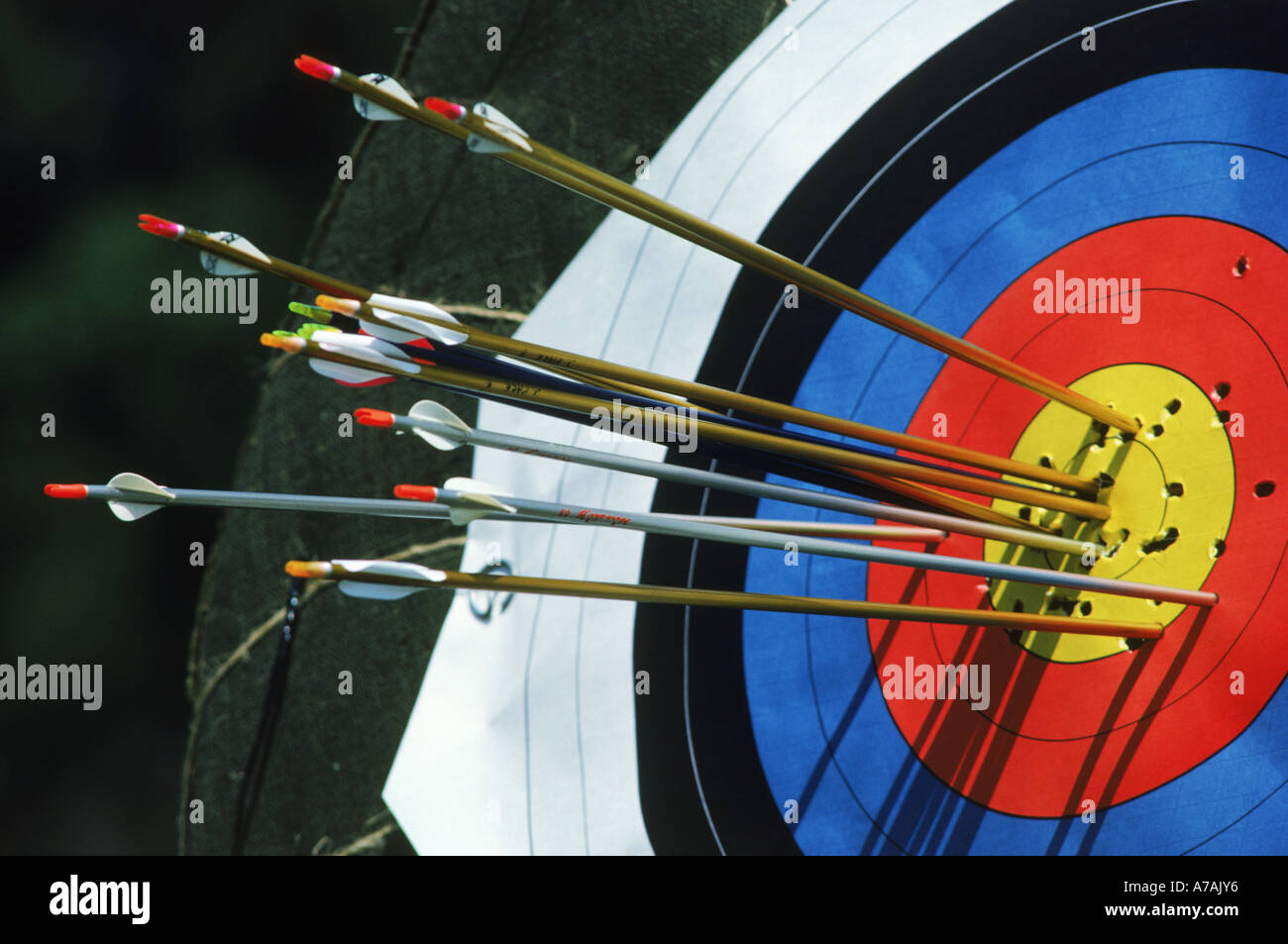 Archery Bullseye