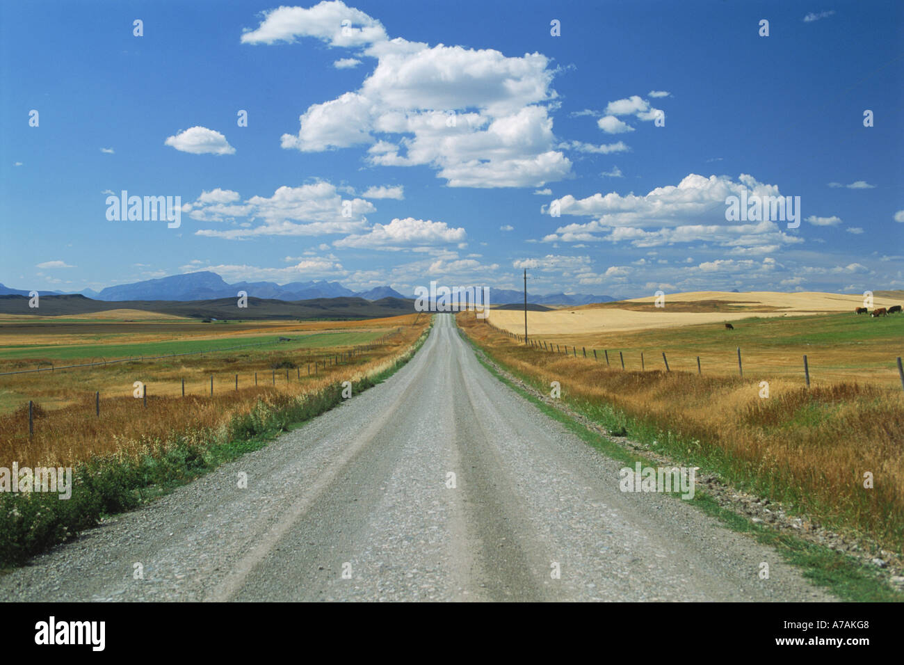 Straight country gravel road through farmlands of Montana near Canadian border Stock Photo
