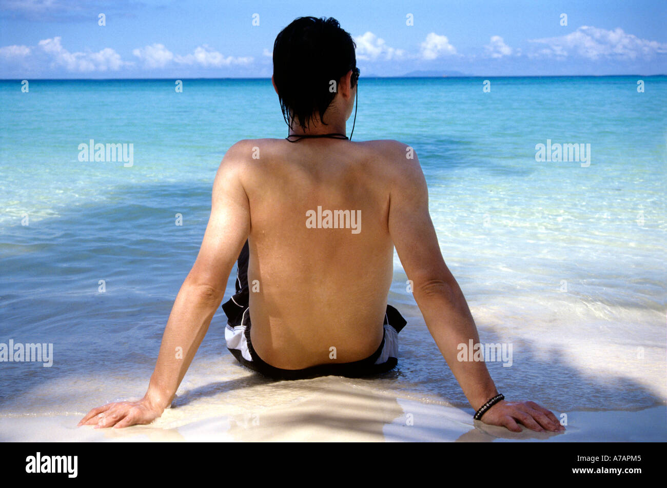 rear view of young man sitting in water on tropical beach Stock Photo ...