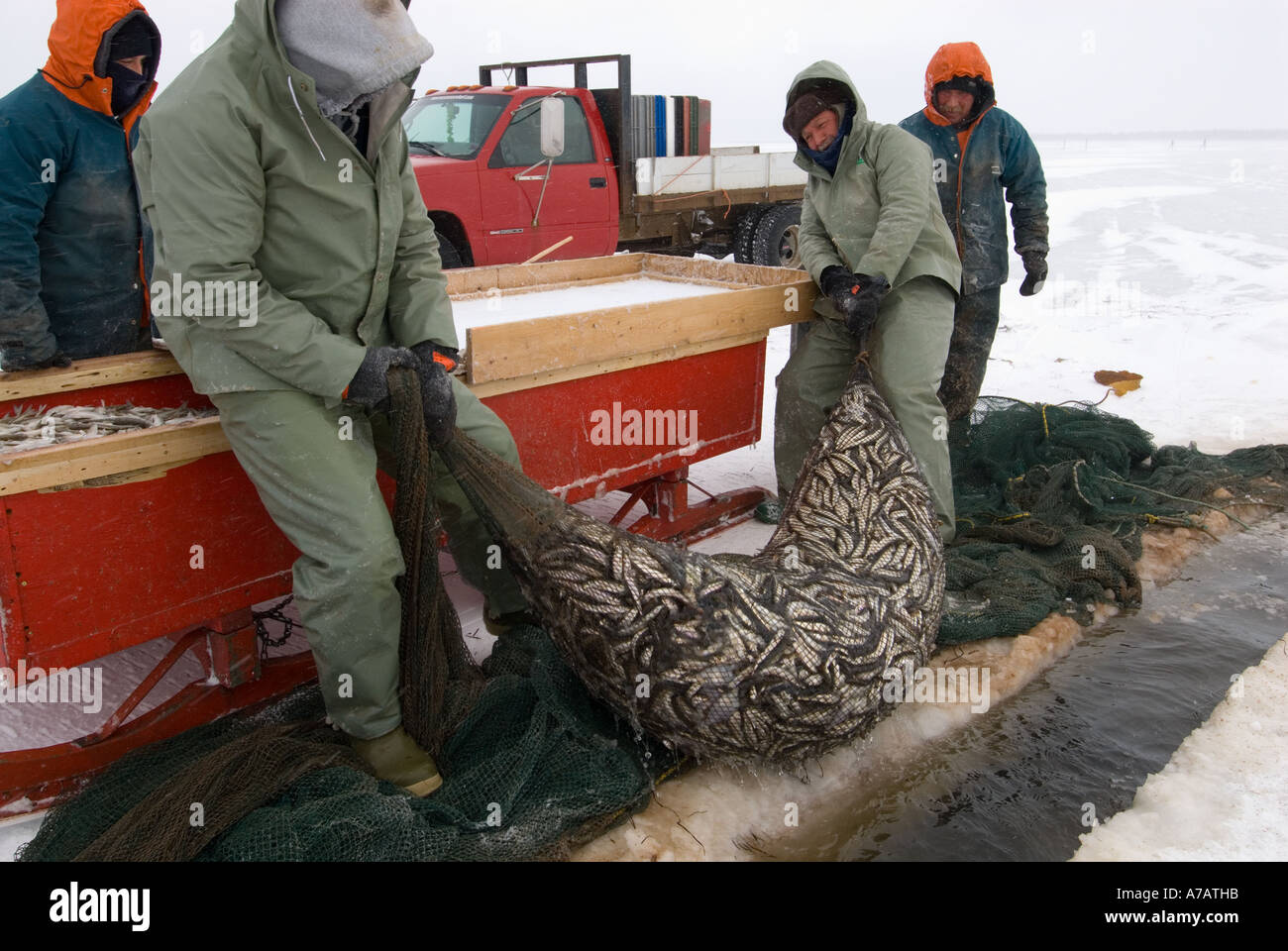 Smelt Fishing through the ice on a freezing cold winter day on Stock