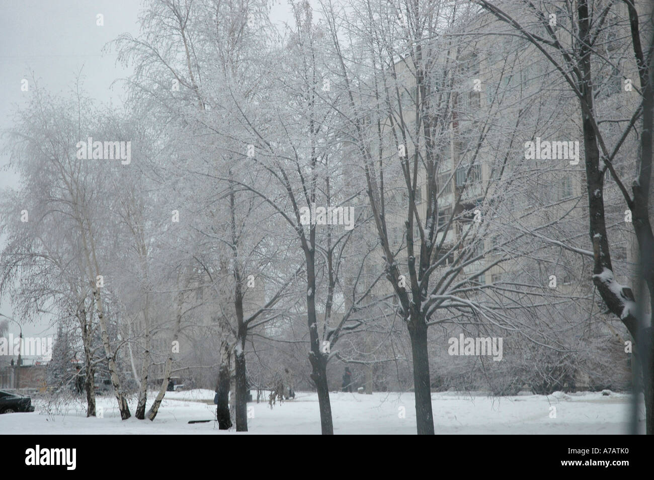 Frozen trees in front of a building made with precast concrete slabs in Siberia Stock Photo