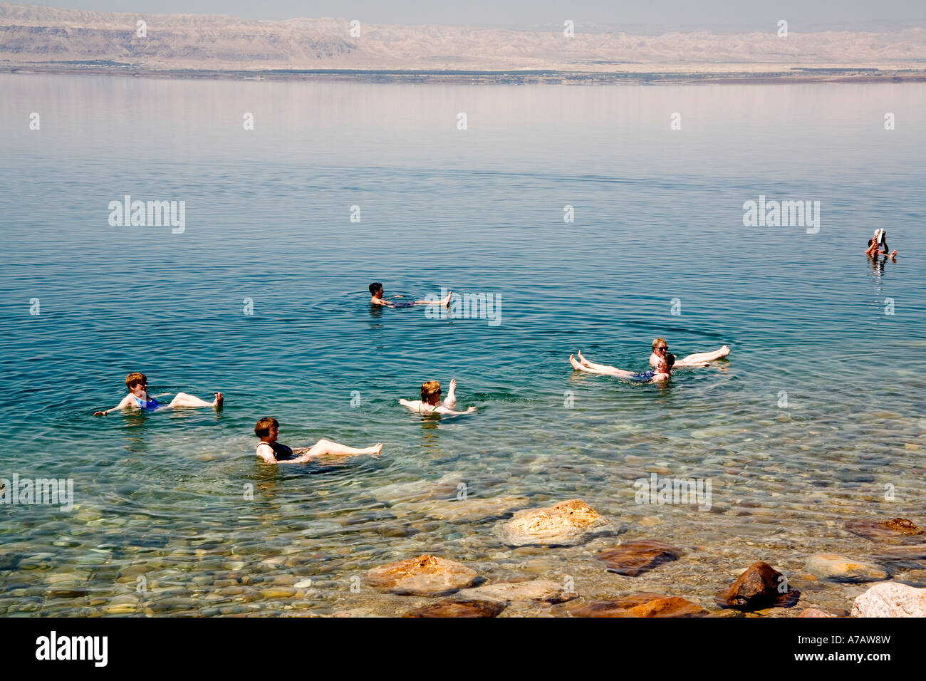 Brace protein horisont Jordan, Dead Sea, Bathers floating due to high salinity Stock Photo - Alamy
