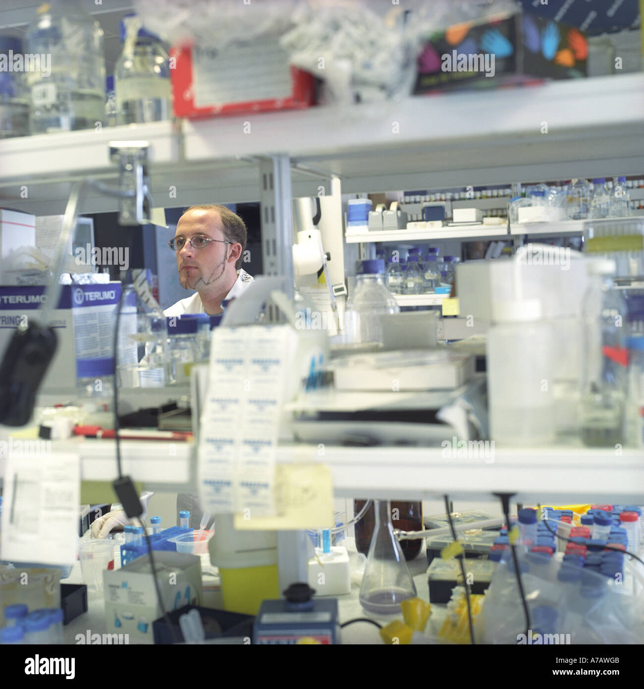 Biology student in laboratory, seen through shelves, London, 2005 Stock