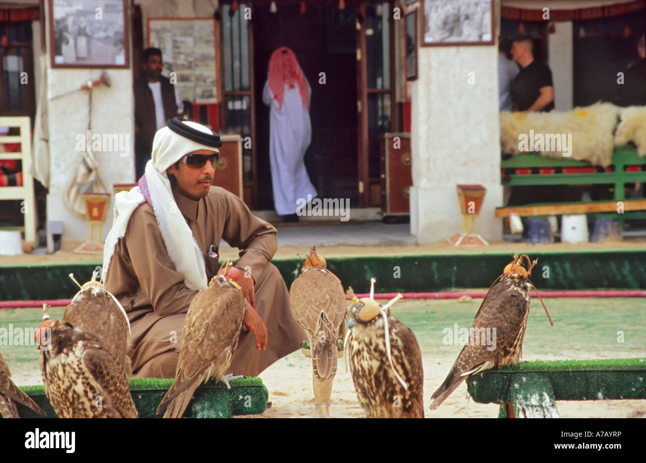 Falcons for sale in Souq Waqif Doha Qatar Stock Photo Alamy