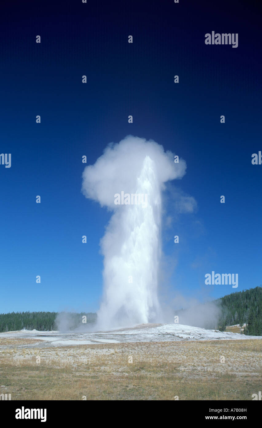Old Faithful Geyser Yellowstone National Park Stock Photo - Alamy