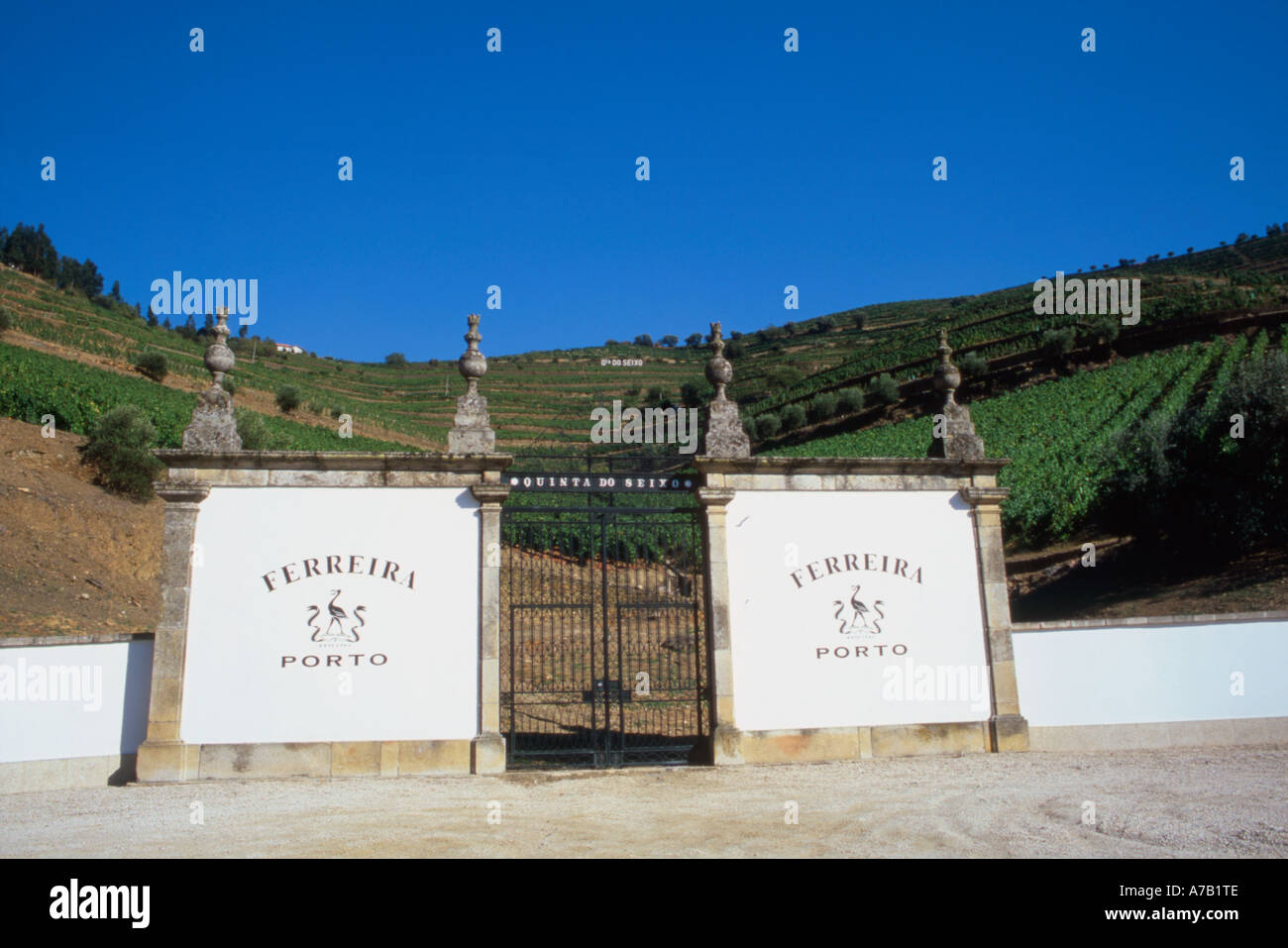 PORT WINE ESTATE, UPPER DOURO VALLEY, PORTUGAL Stock Photo Alamy