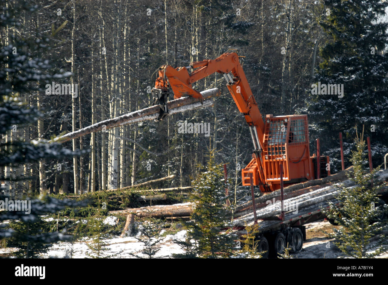Loader Logger Logging Logging High Resolution Stock Photography and Images Alamy