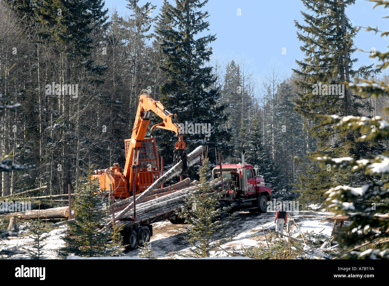 Logging industry Stock Photo Alamy