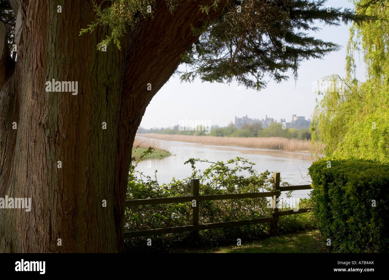 River Scene of the River Arun, South Stoke near Arundel, West Sussex with Arundel Castle in background. England, UK Stock Photo