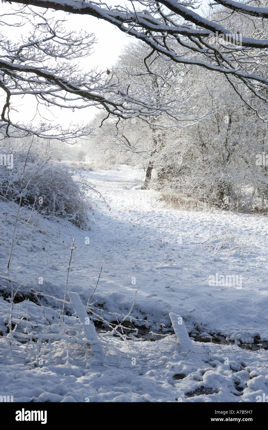 Snow covered trees britain hi-res stock photography and images - Alamy