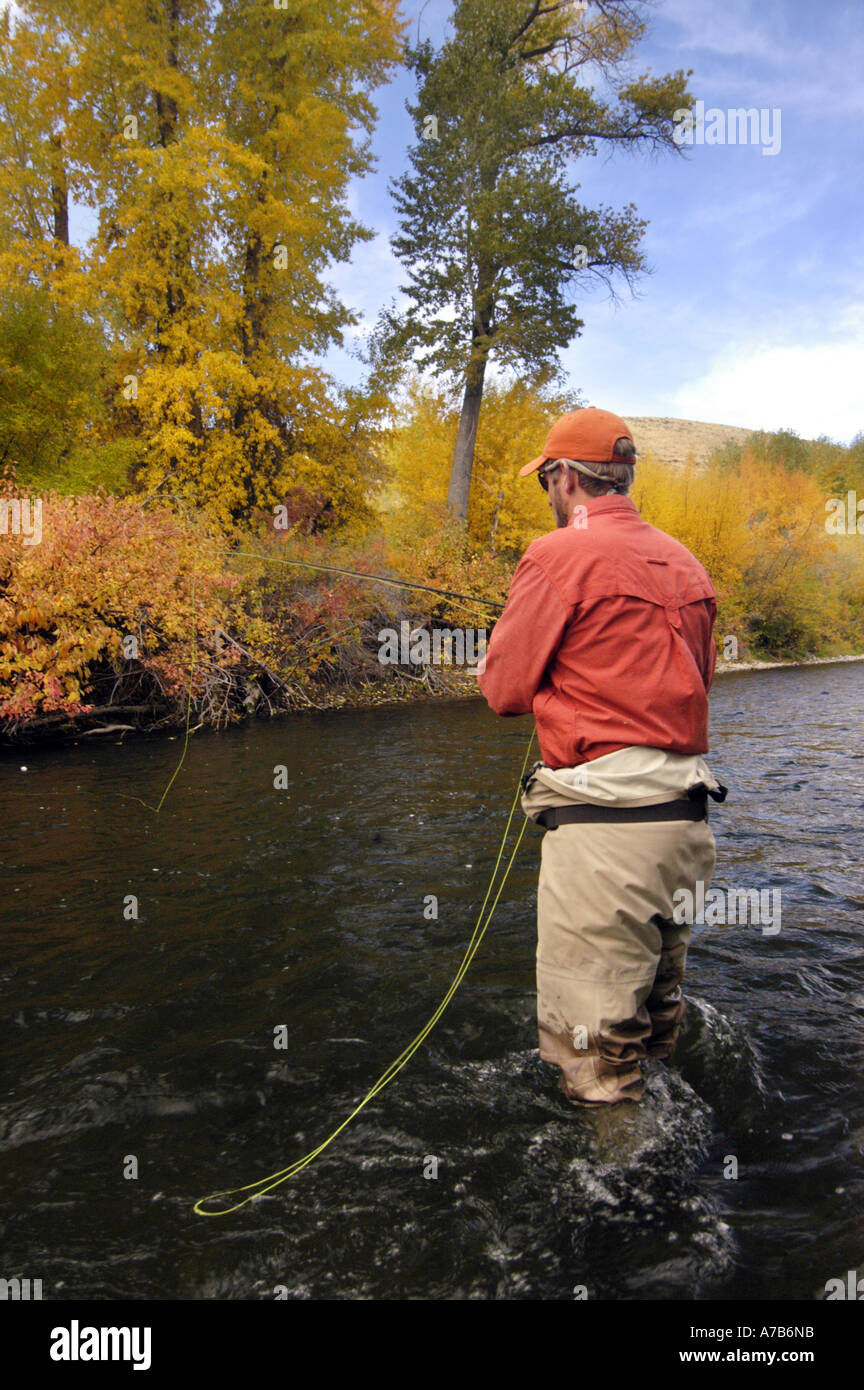 Idaho Mackay Big Lost River Man fly fishing a river in the autumn Stock