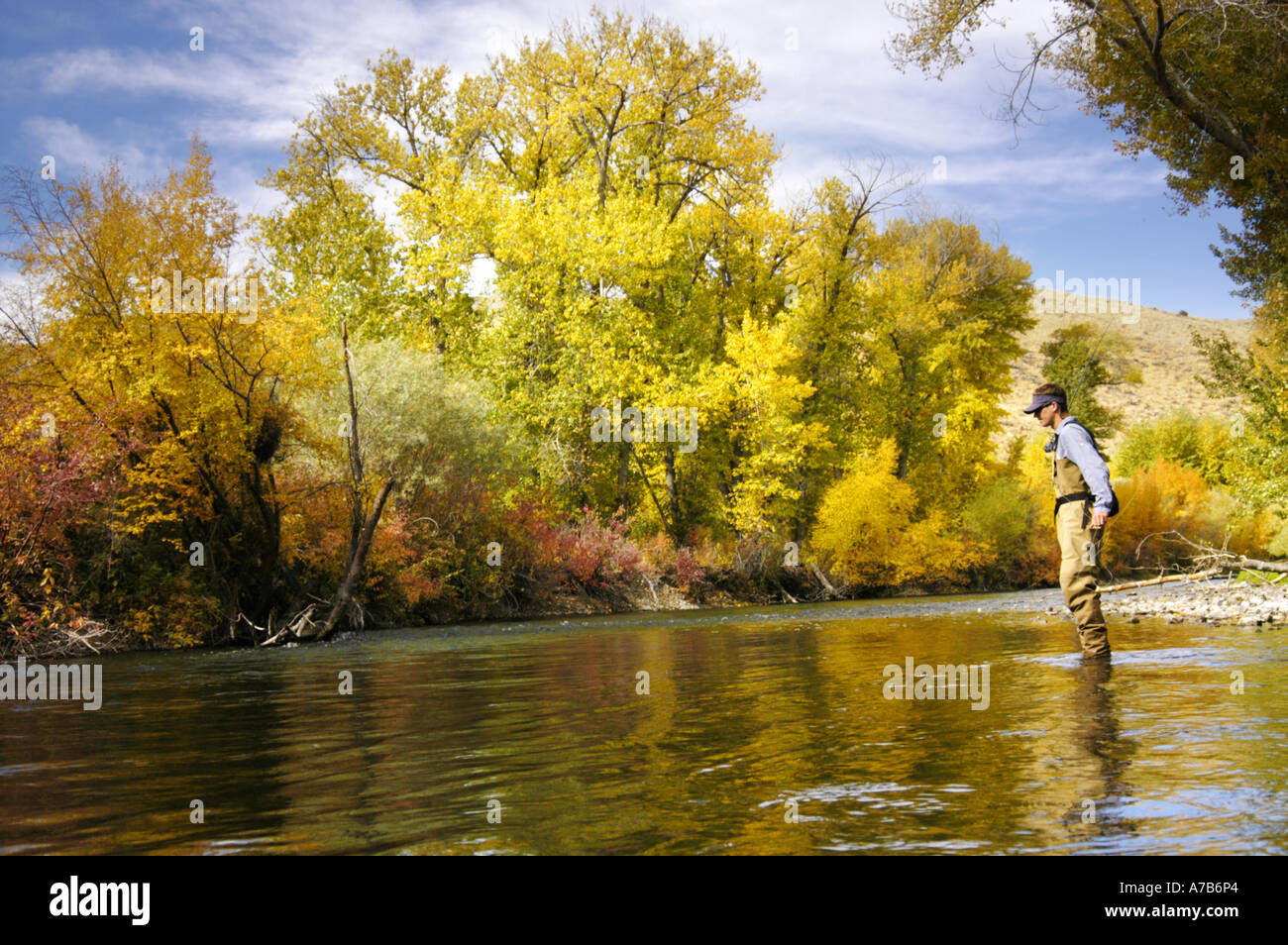 Idaho Mackay Big Lost River Stock Photo