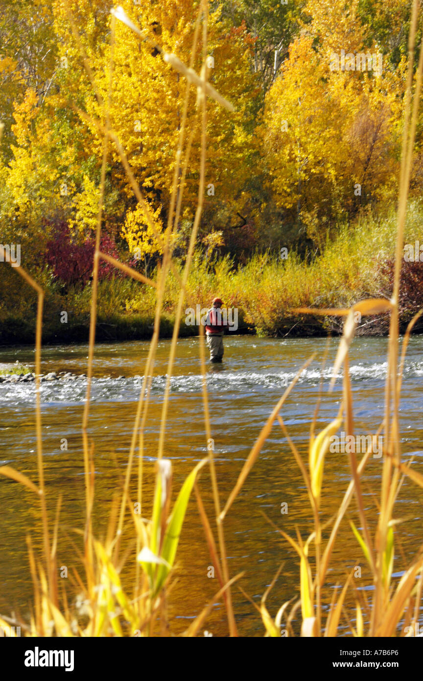 Idaho big lost river fly hires stock photography and images Alamy