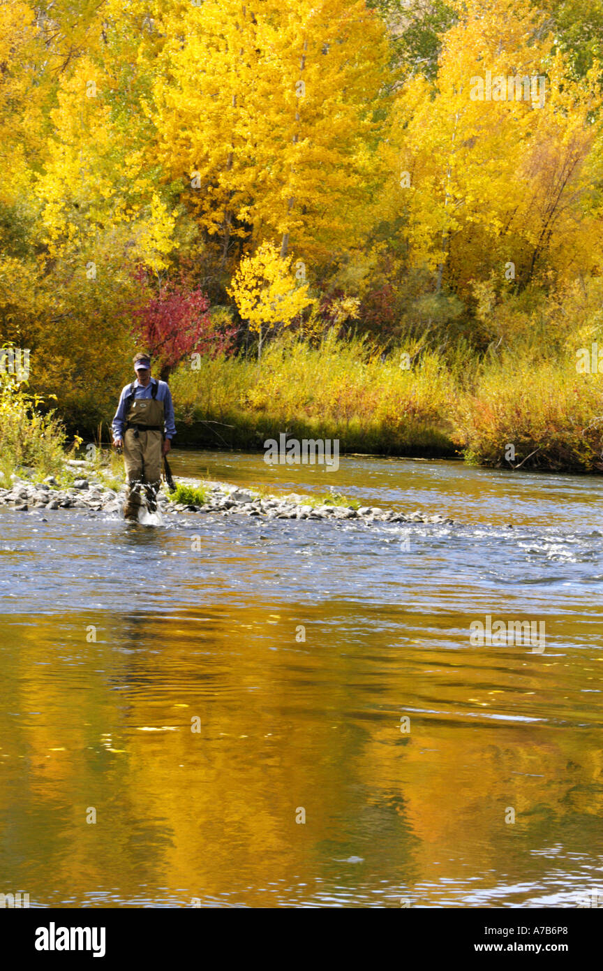 Idaho Mackay Big Lost River Man walking across a river while fly fishing a river in the autumn Stock Photo