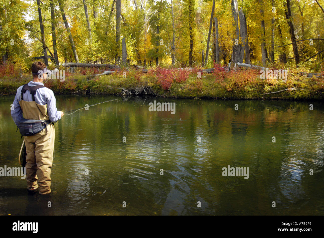 Idaho Mackay Big Lost River Man fly fishing a river in the autumn Stock