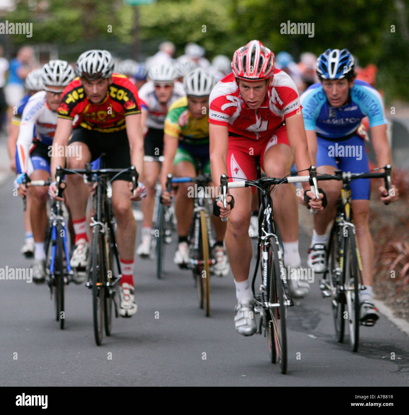 north shore cycling club