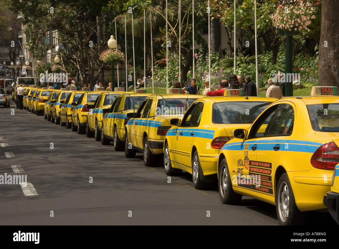 Taxis Funchal Madeira Stock Photos & Taxis Funchal Madeira Stock Images