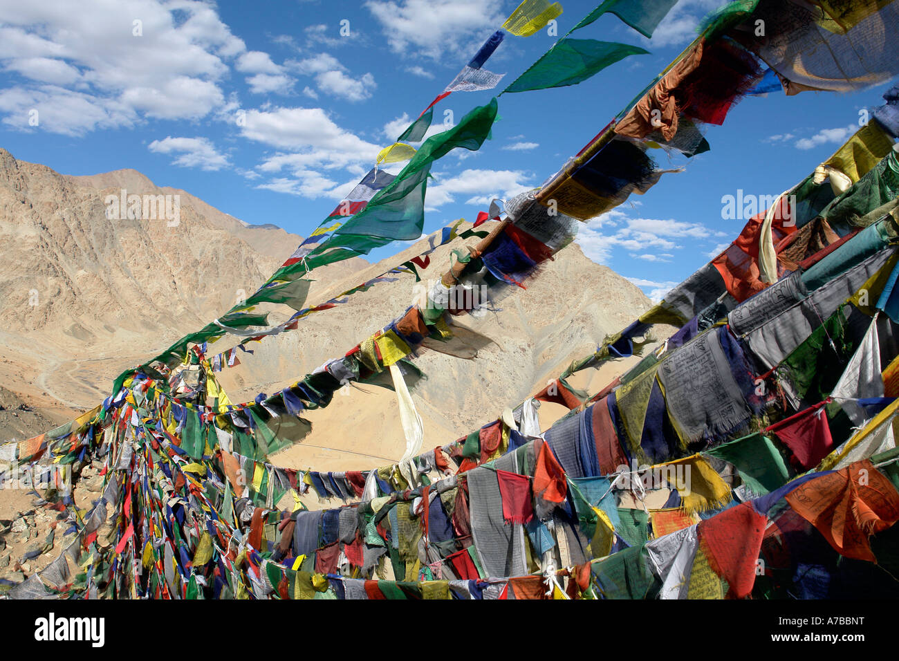 prayer flags ladakh Stock Photo Alamy