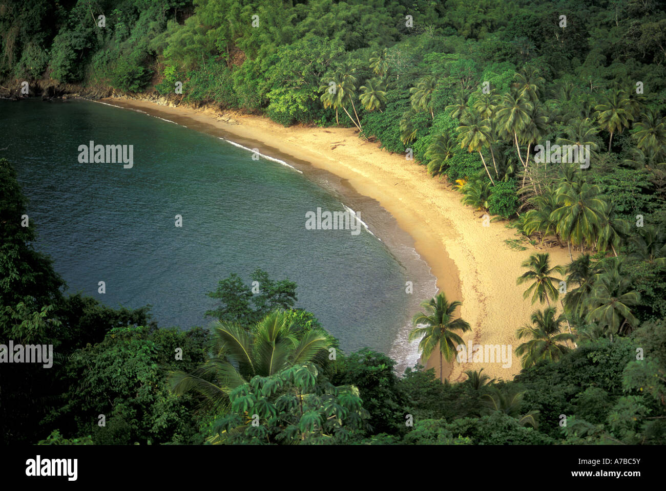 Curved beach surrounded by palm tree forest in Englishman's Bay in ...