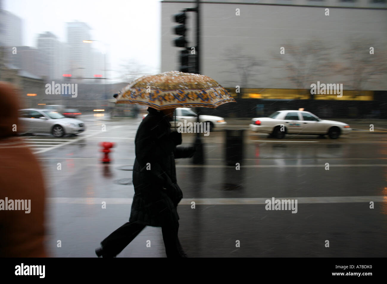 Man with umbrella walking in a rain storm, Michigan Ave. Chicago, IL USA Stock Photo