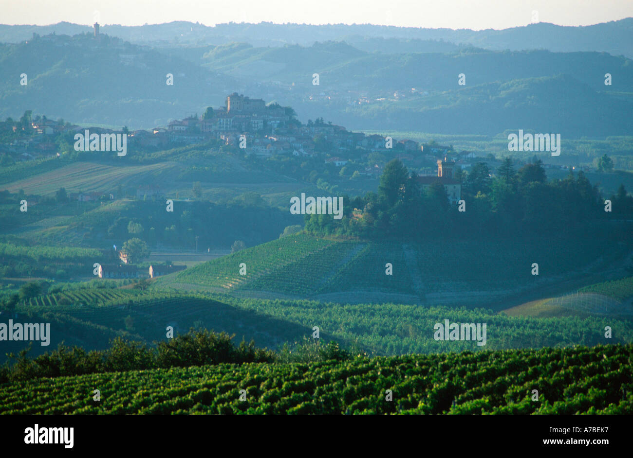 Wine region Langhe Stock Photo