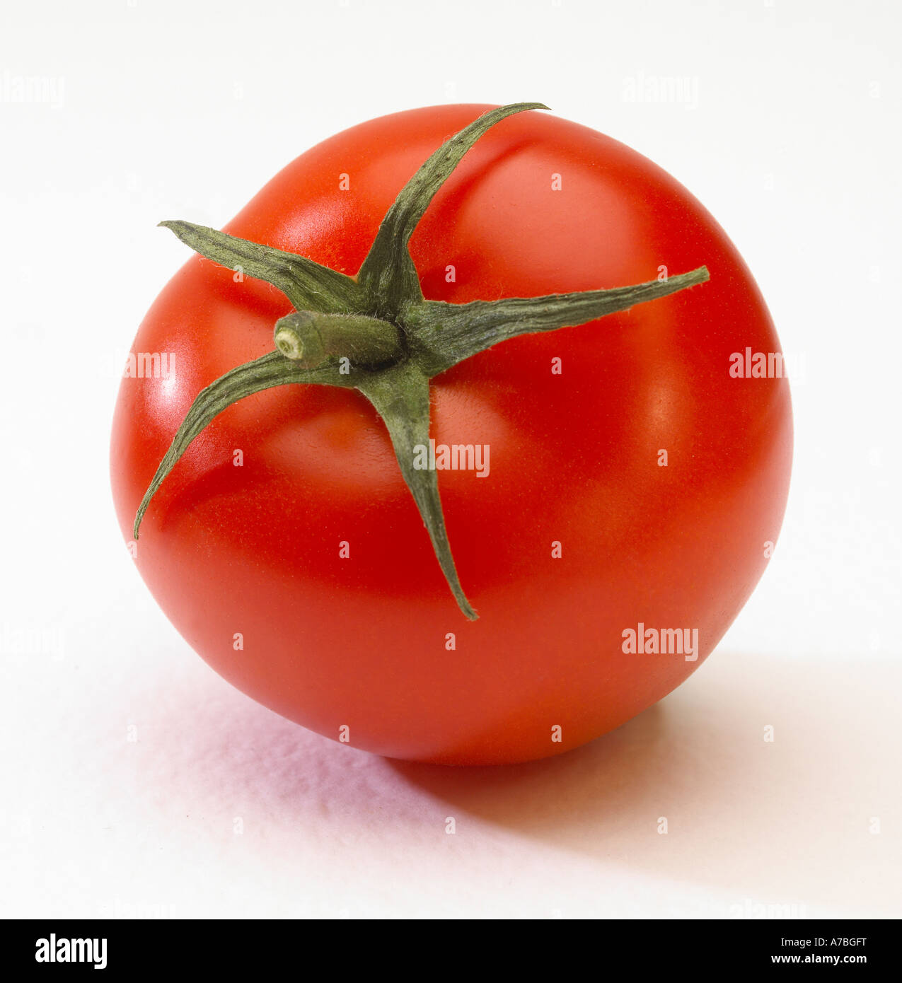 SINGLE FRESH RIPE RED TOMATO ON WHITE BACKGROUND Stock Photo