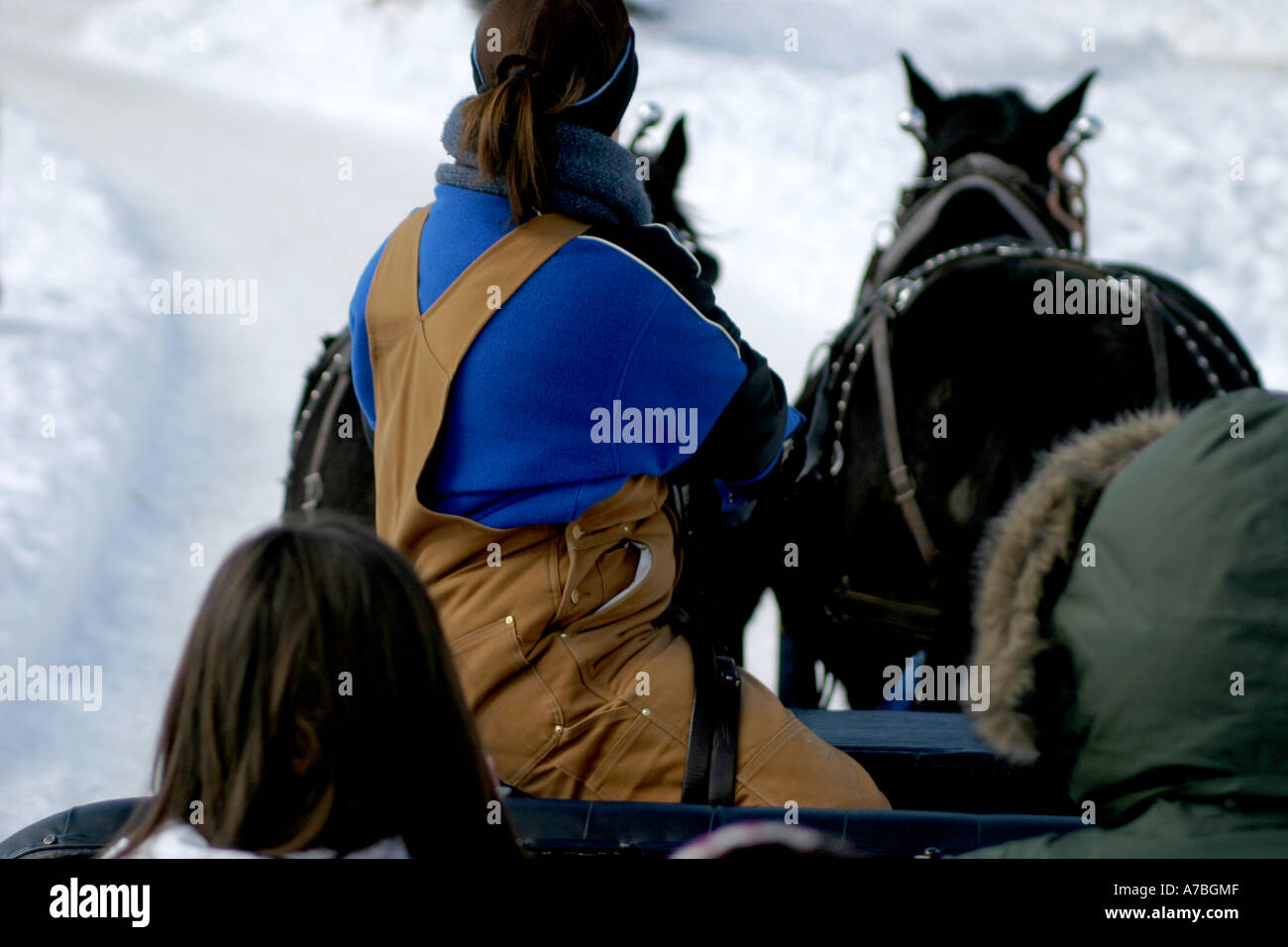Horse drawn sleigh Stock Photo - Alamy