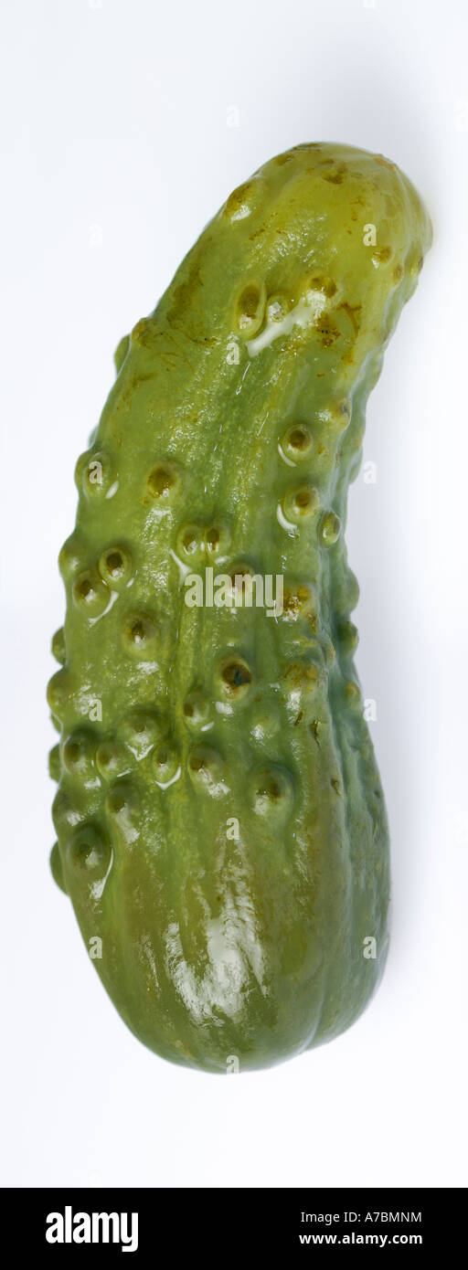 Single pickled cucumber on white Stock Photo